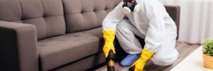 Pest Control Specialist Working to Eliminate Infestation